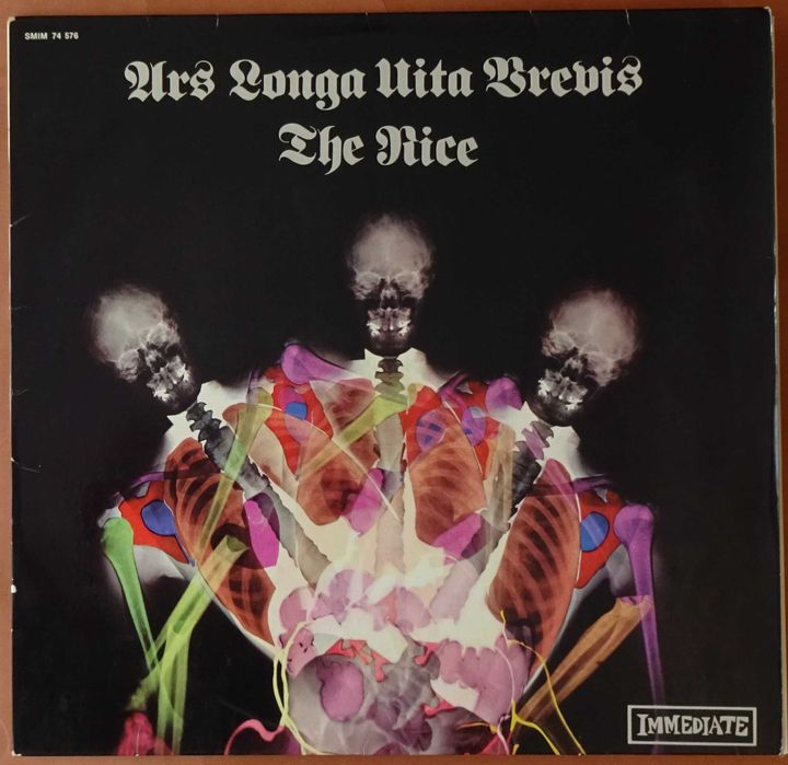Discos de vinil usados - Neil Young, The Nice, Beatles, etc.