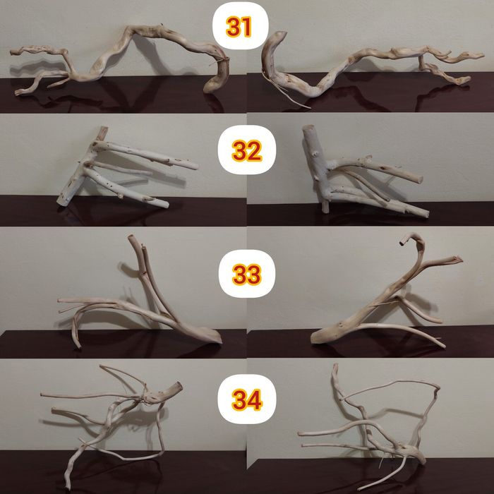 Продаю коряги, для декору акваріуму, або тераріуму