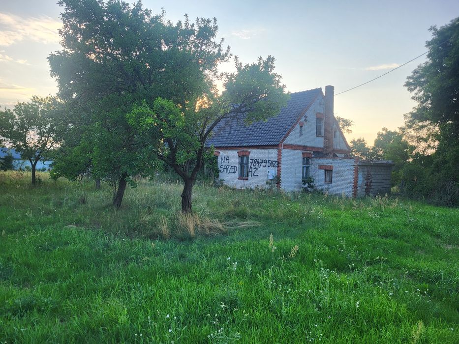Działka Jeżewice  3300m2