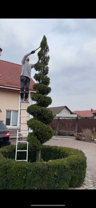 Щепування, подрібнення гілок, розліснення, чистка ділянки