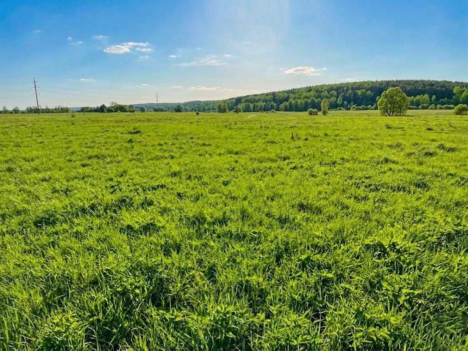 Продаж земельної ділянки 1,5982 га у Мироцькому !