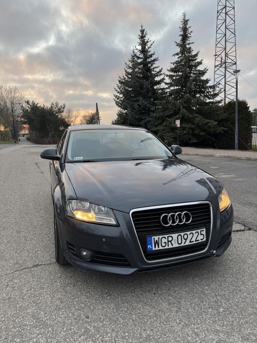 AUDI A3 8P 1.9 tdi