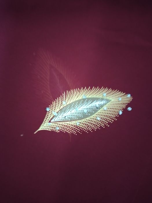 Сарі індійський розшите