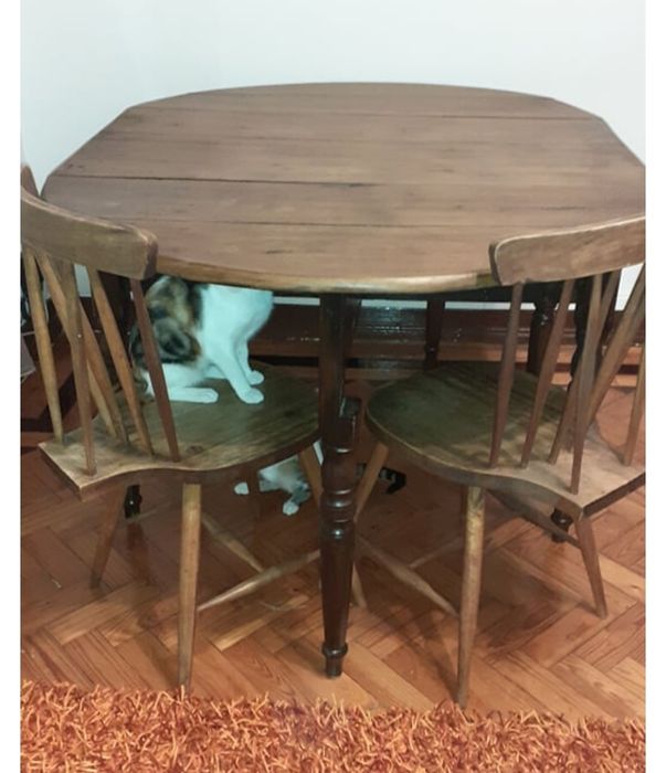 Mesa jantar muito antiga, estilo holandês +4 cadeiras rabo de bacalhau