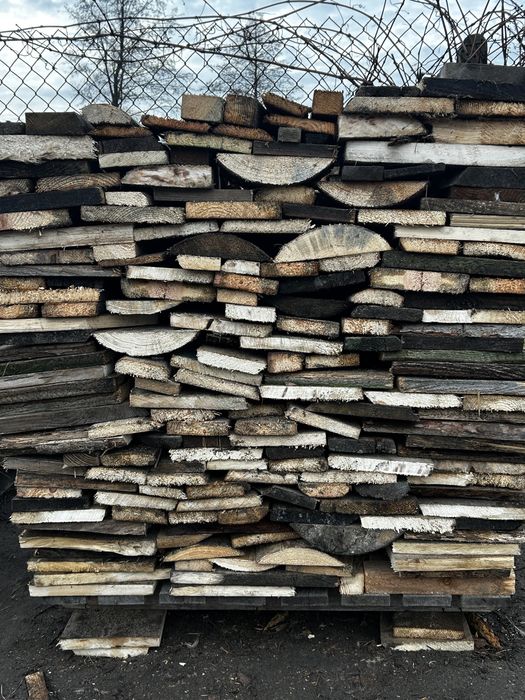 Suche drzewo opalowe