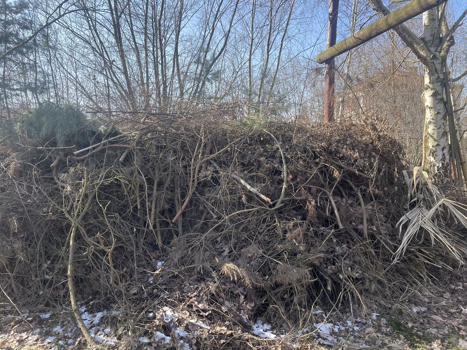 Drewno opałowe iglaste i owocowe