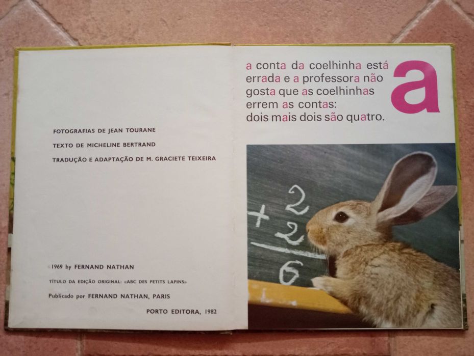 Livro - ABC dos Coelhinhos