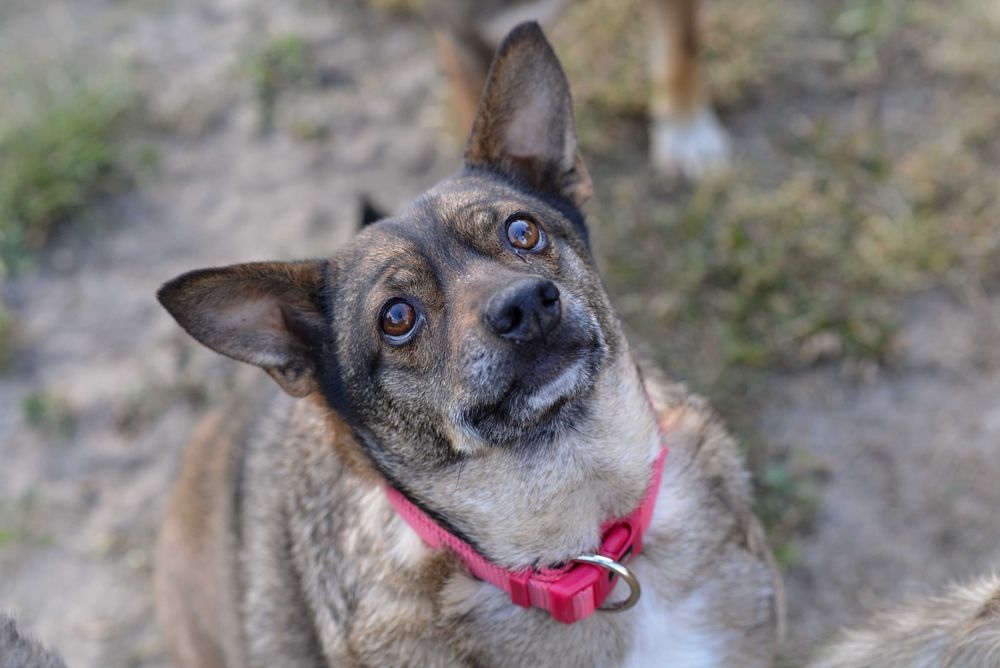 Basta – Czy ktoś w końcu ją zauważy?