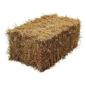 Продам солому в тюках пшеничну