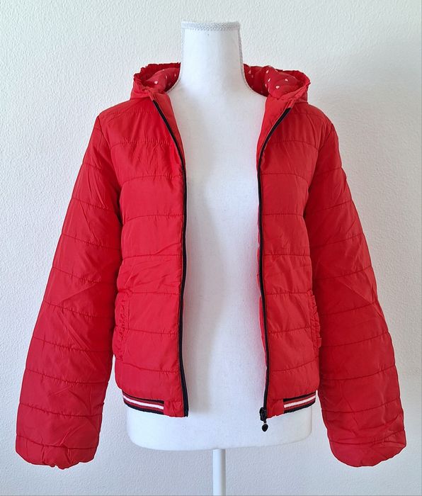 Casaco vermelho (Zippy)