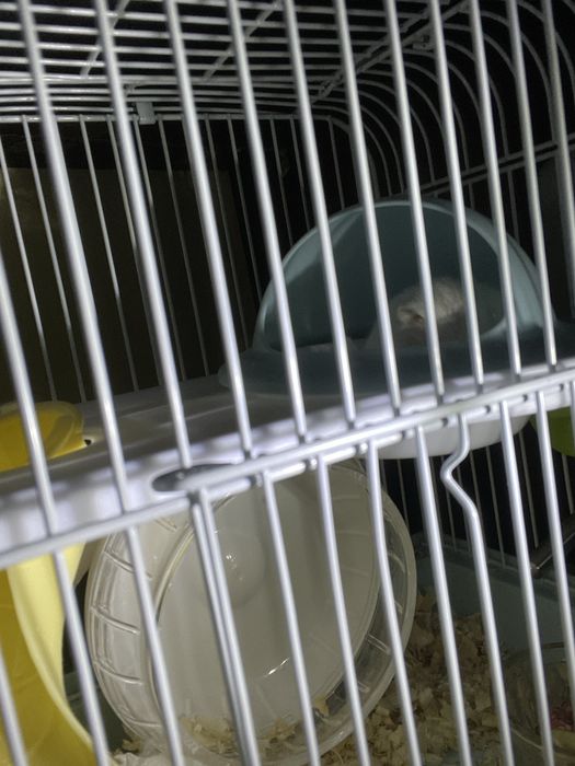 Клетка для хомяка