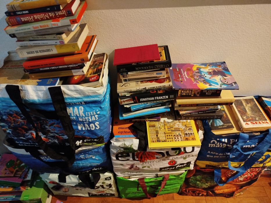 Lote de 505 livros