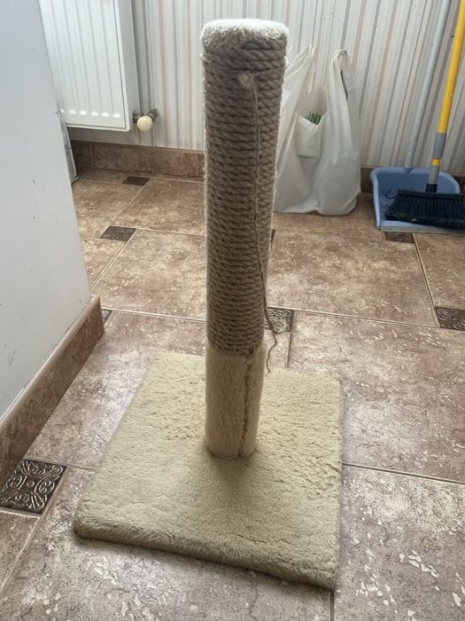 кігтеточка