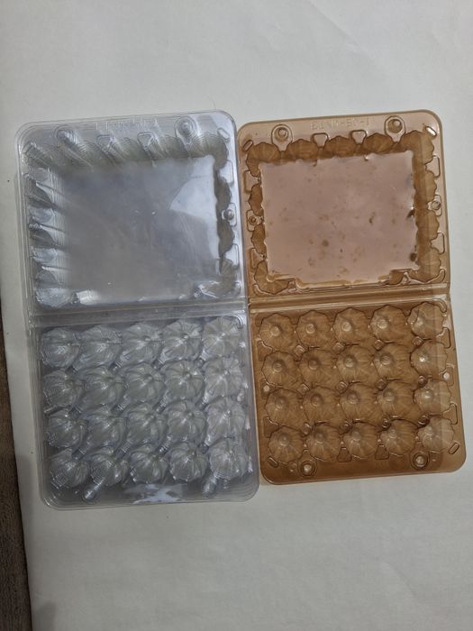 Лотки для перепелиних яец.