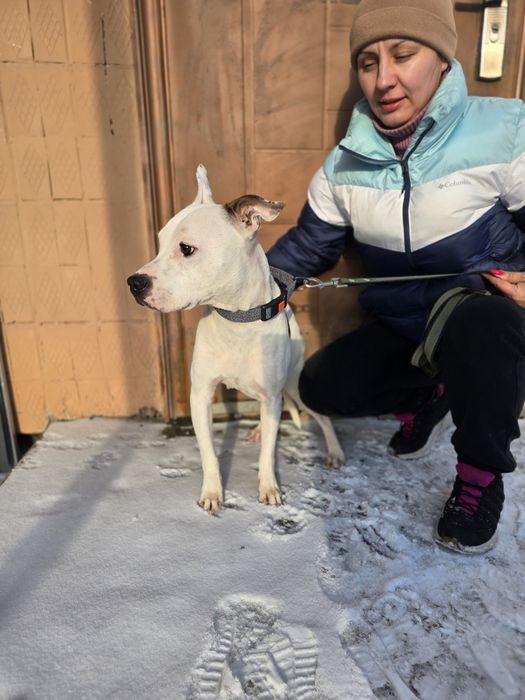 Хлопчики в добрі ручки!