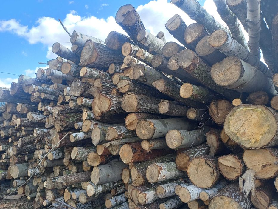 Sprzedam drzewo opałowe w walkach i rąbane.