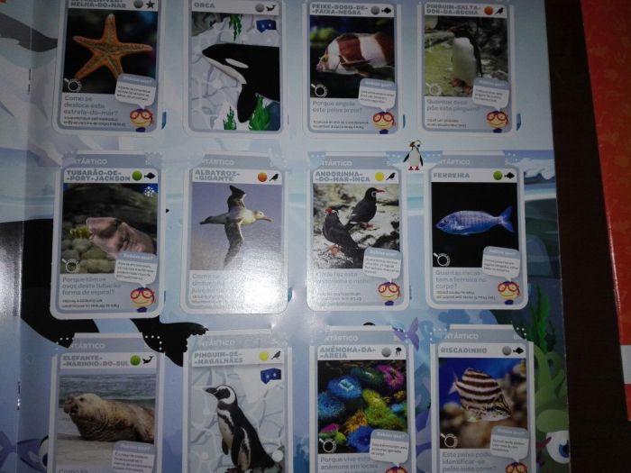 Colecções Pingo Doce