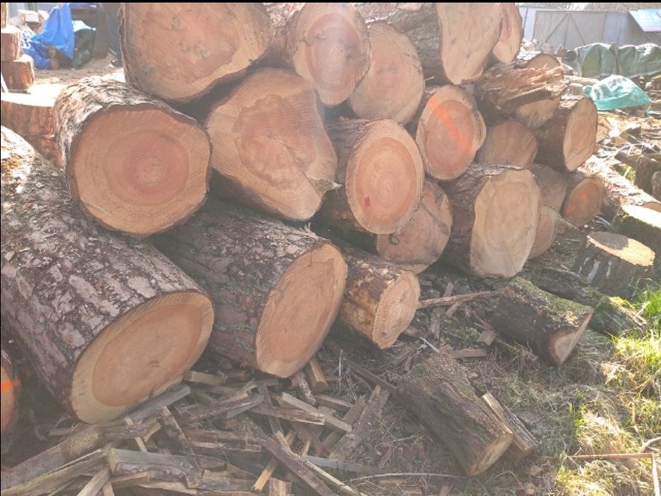 Sprzedam drewno opalowe oraz ogniskowe,