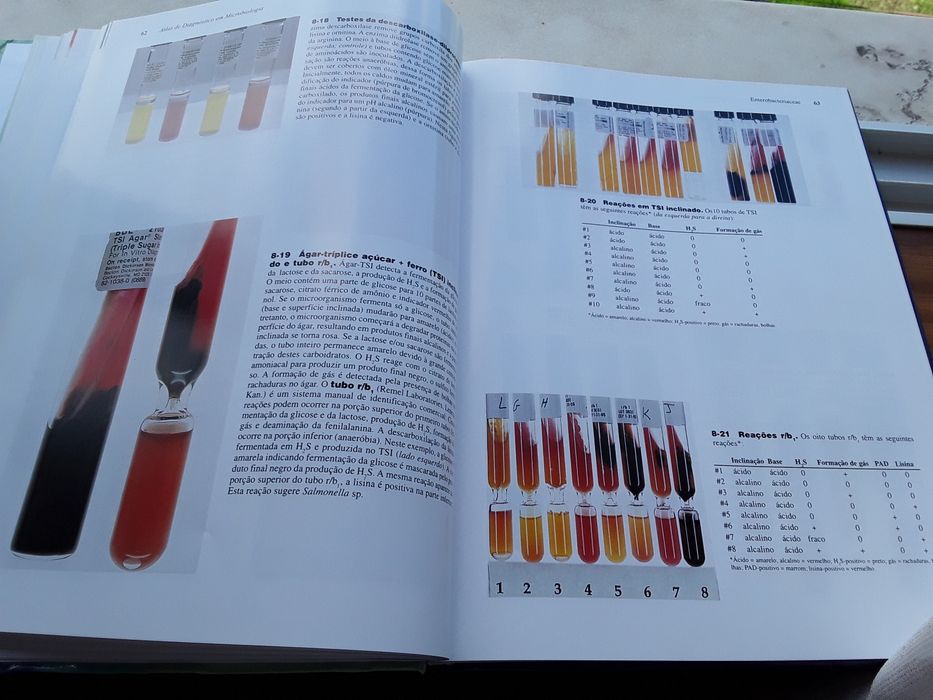 Vendo Atlas de Microbiologia Clínica. Novo.