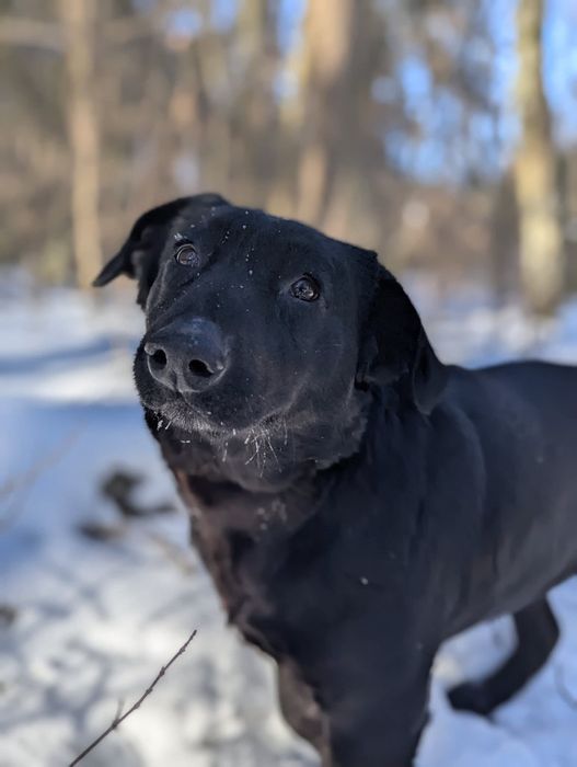 Ugra czeka na swoich ludzi!