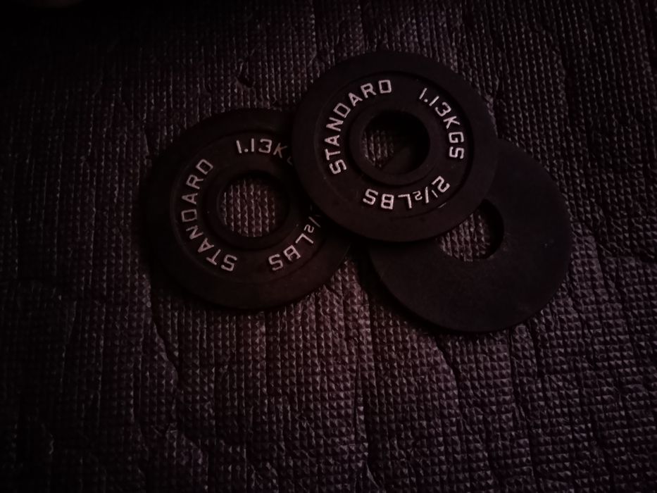 Discos olímpicos de ferro 2,5 Lbs (1,23 kg)