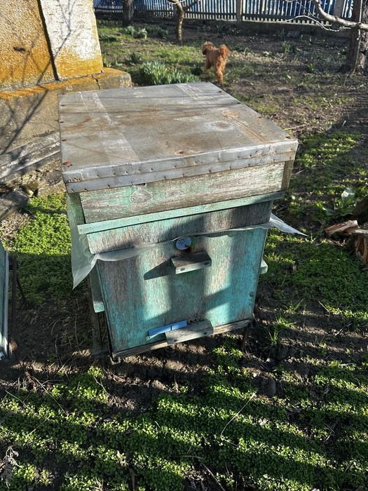 Продам улья  улики