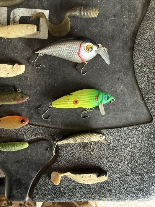 Риболовні снасті для донної і хижої риби