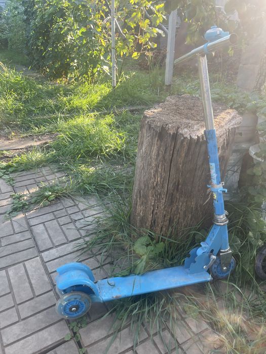 Самокаты бесплатно