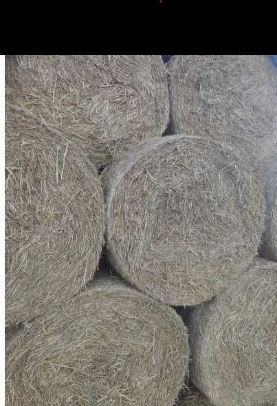 Sprzedam słomę bele owies i pszenżyto