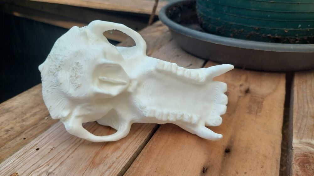 Caveiras decorativas