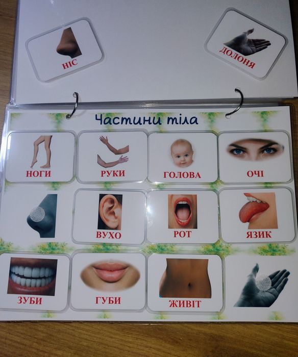 Картки Домана, карточки Домана, картки Домана, карточки домена