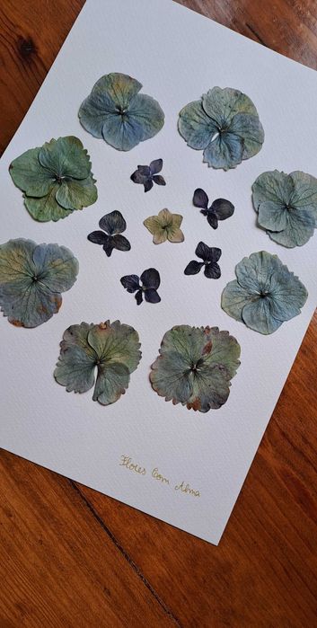 Moldura Coleção Açores- Hortênsia