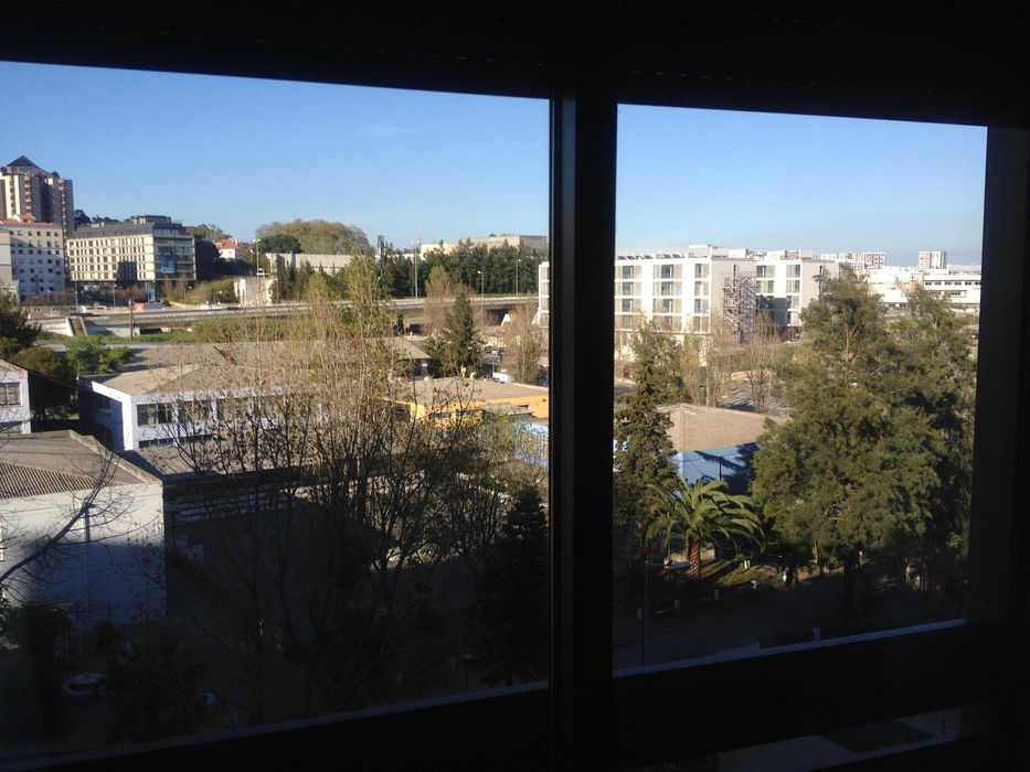 quarto em lisboa são domingos de benfica