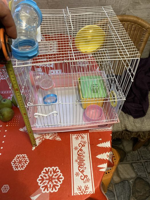 Комплекс для хомяка