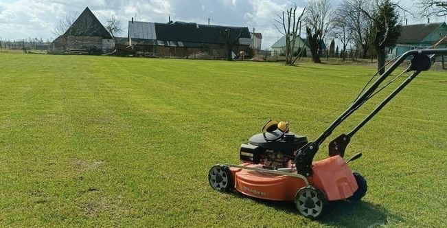Покіс газону Послуги з прибирання території та догляд за садом