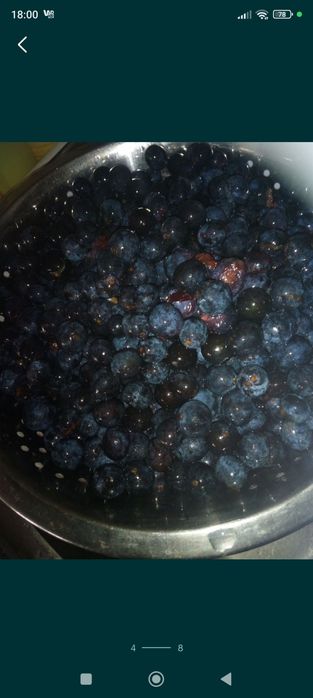2*. Suszoną tarnina
