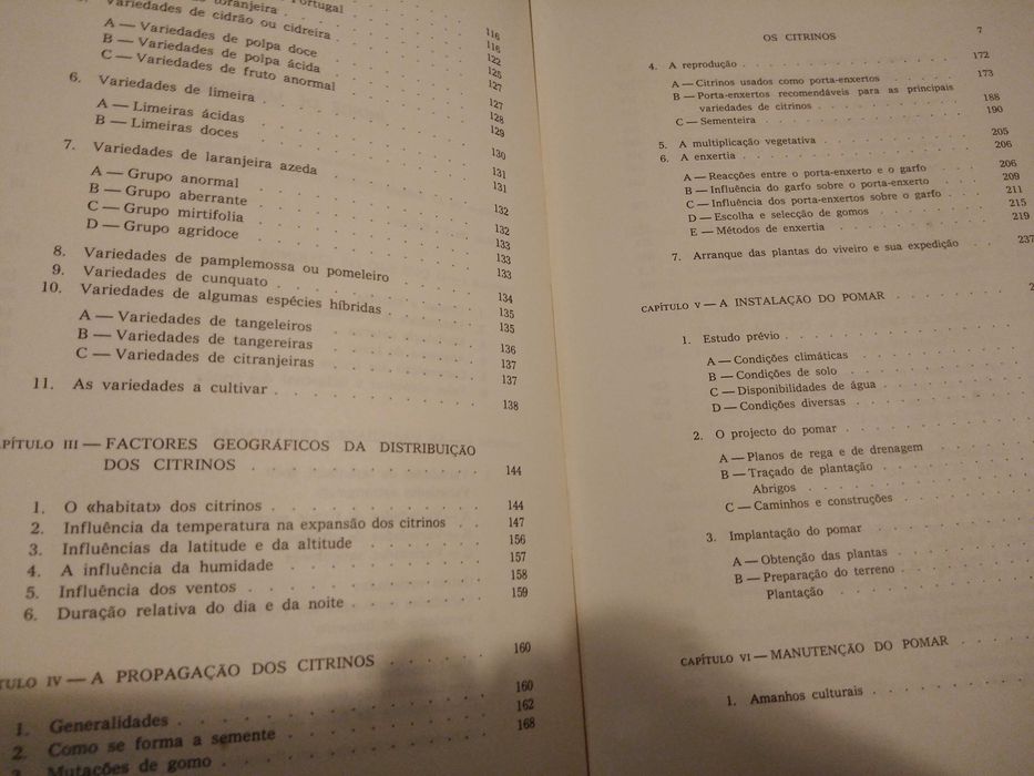 J. Duarte Amaral - Os Citrinos [autografado]