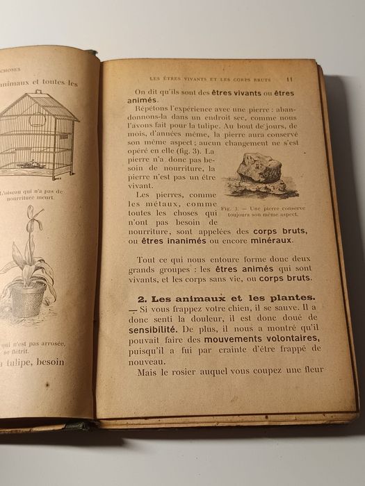 Leçons de Choses