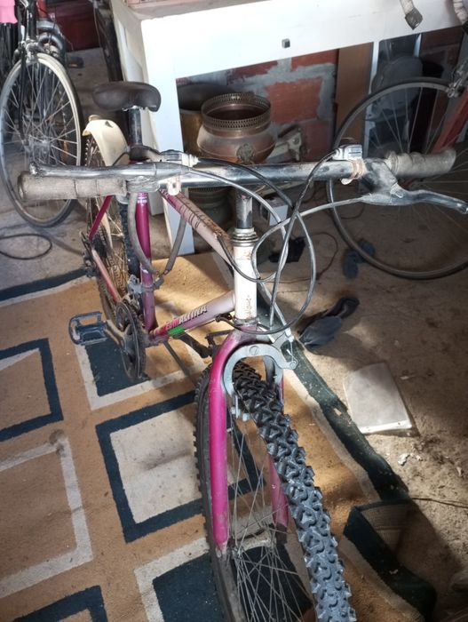 Bicicleta esm altina