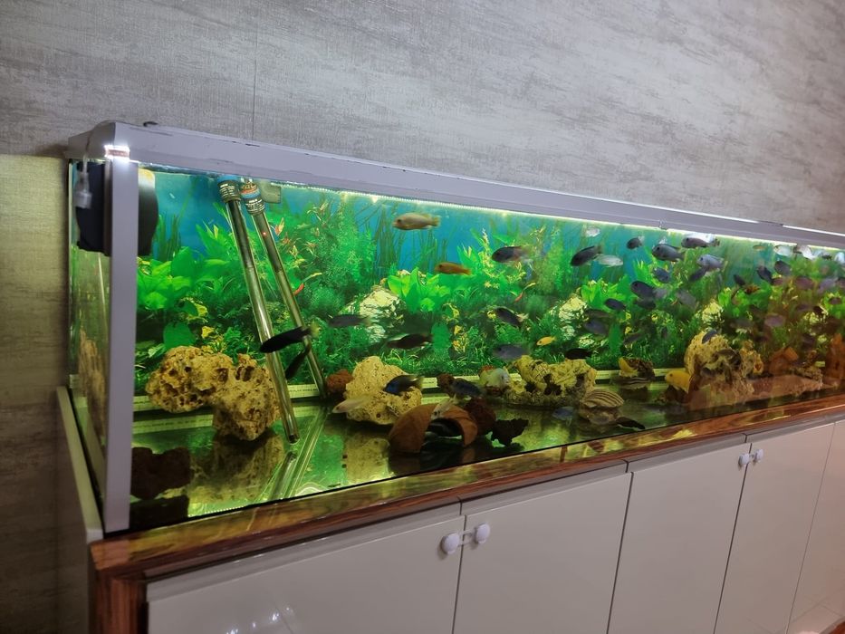 Aquário de 3 metros