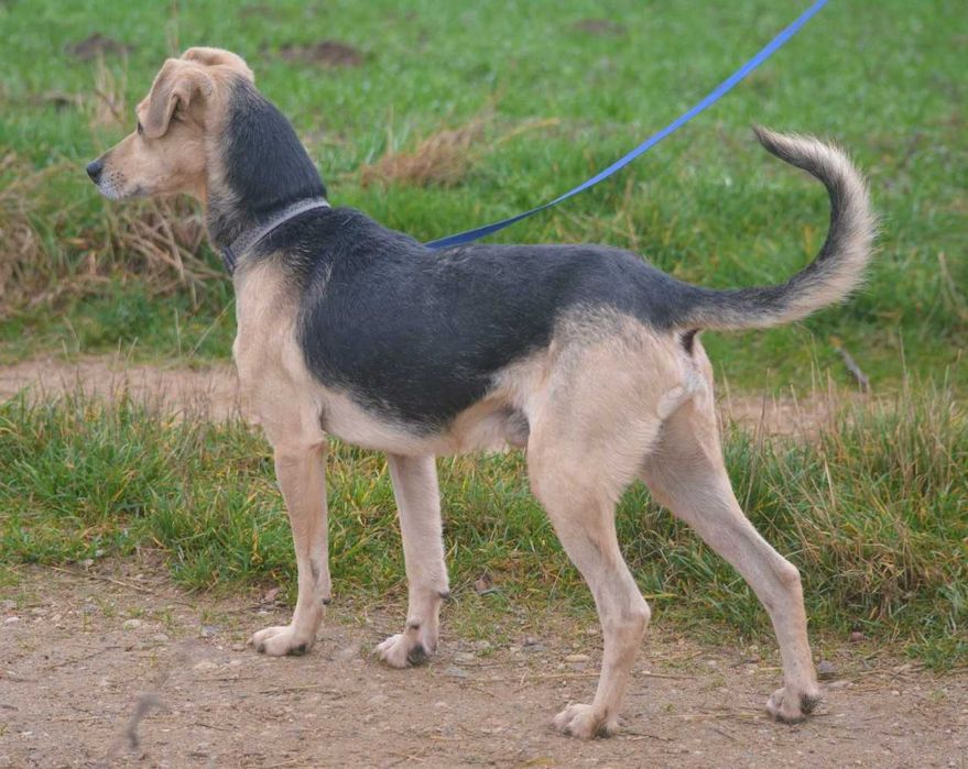 Vito szuka właśnie Ciebie!