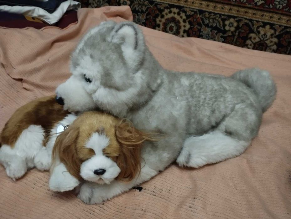 куклы пупсы игрушки