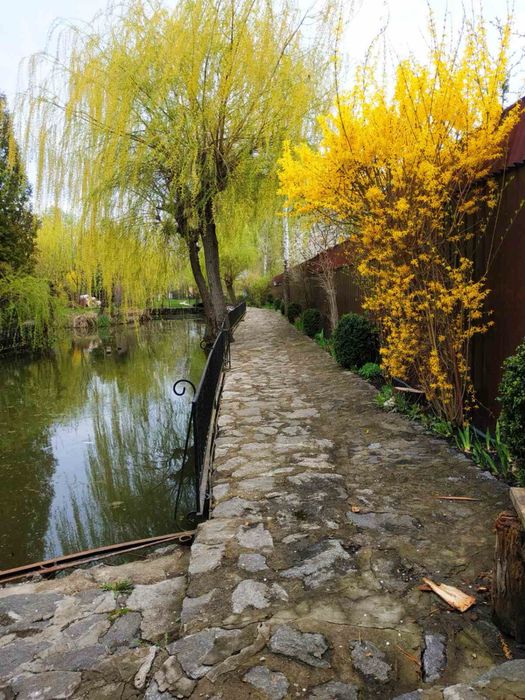 Дом по адресу (площадь 250 м²) - Atlanta.ua - фото 3