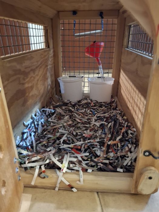 Mala transporte cães ou gatos