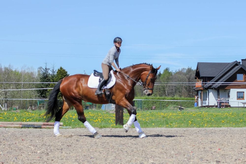 Jazda konna.Treningi sportowe.