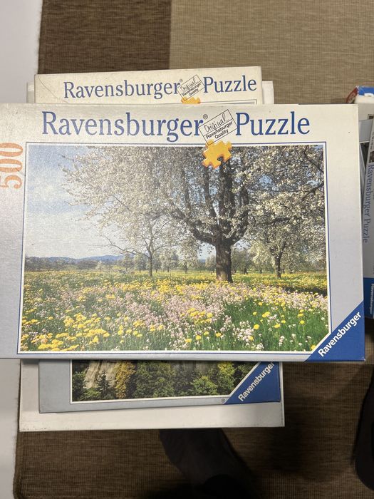 Super set de 10 Puzzles diversos