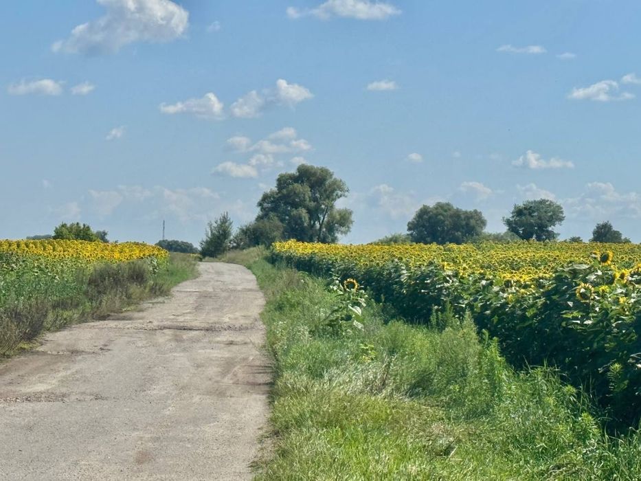 Земельна ділянка 107 га в Бучанському районі