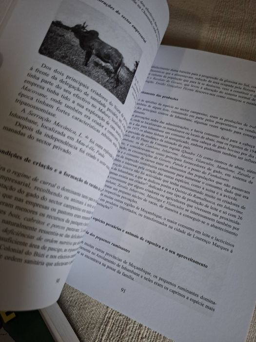 A Pecuária em Moçambique 3 volumes