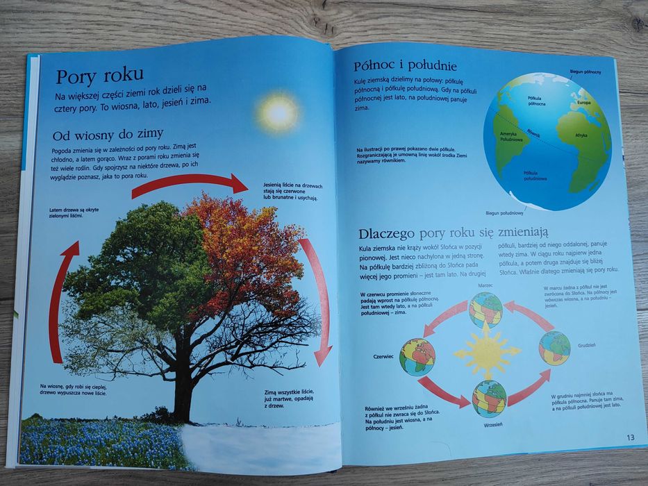 Encyklopedia wiedzy dla dzieci - Centrum Edukacji Dziecięcej - książka