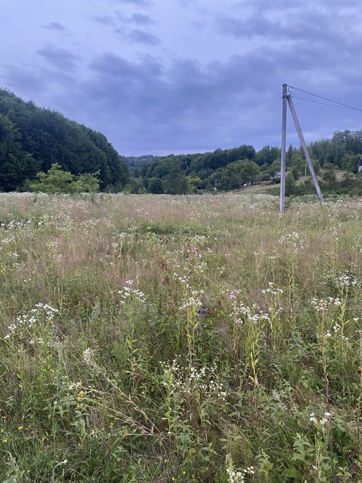 Земельна ділянка